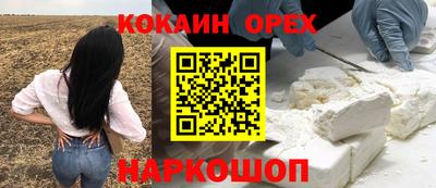 PSILOCYBIN Камышлов