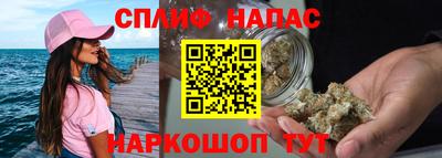 прущие грибы Кандалакша