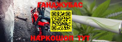 прущие грибы Кандалакша