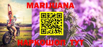 прущие грибы Кандалакша