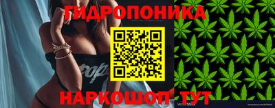 прущие грибы Кандалакша