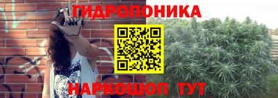 PSILOCYBIN Камышлов
