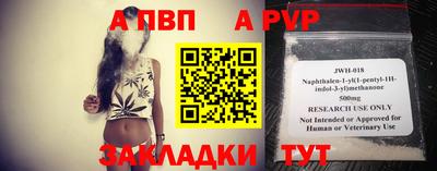 прущие грибы Кандалакша
