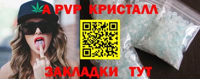 прущие грибы Кандалакша