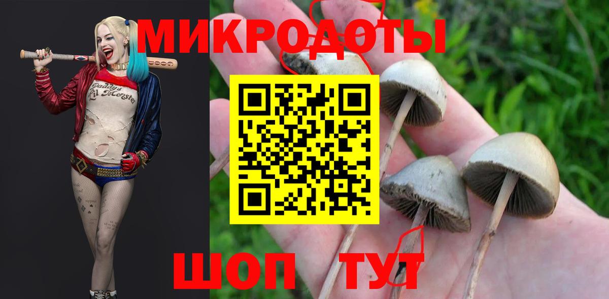 Галлюциногенные грибы Cubensis  Вход с VPN  Галлюциногенные грибы ЛСД  Вологда 